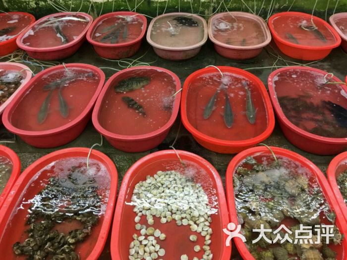 金海湾海鲜楼_金海湾银楼_金海湾海鲜