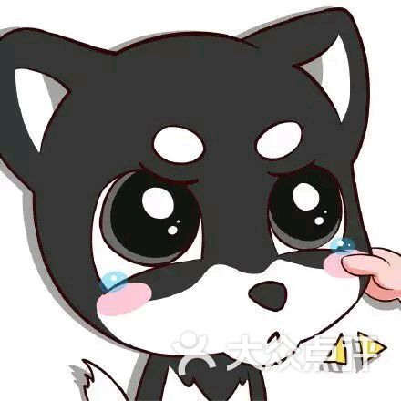 康大教育(运城分校)-图片-运城教育培训