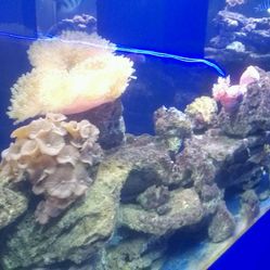 清风梦幻1234的主页-会员-大众点评网