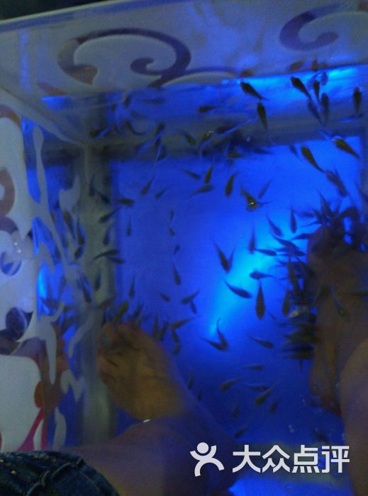 小魔鱼鱼疗馆-图片-抚州休闲娱乐-大众点评网