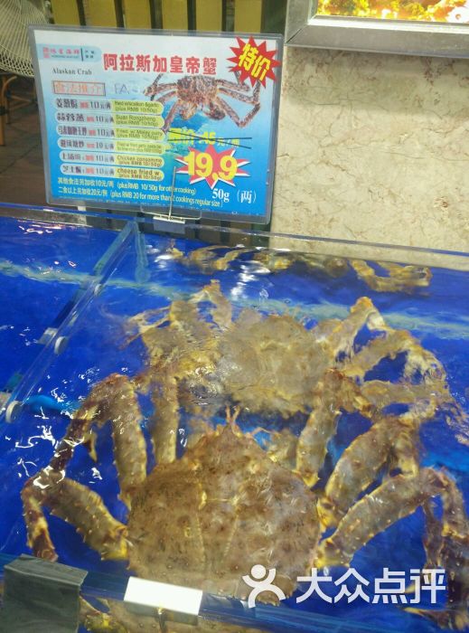 鸿星海鲜酒家年饭菜式_东豪园林海鲜酒家_鸿星海鲜酒家早茶(3)