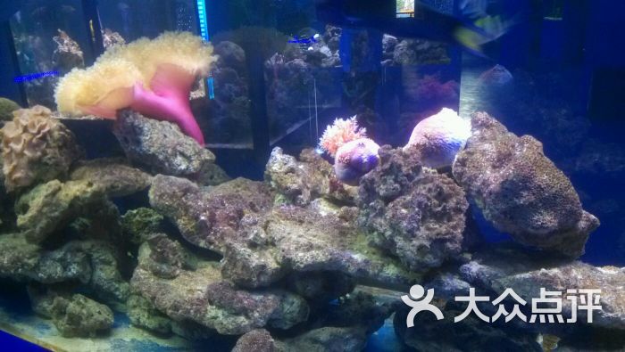 -清风梦幻1234的图片-大众点评网